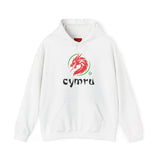 Tⓗe Cymru Design 'Oriental' Unisex Heavy Blend™ Hooded Sweatshirt