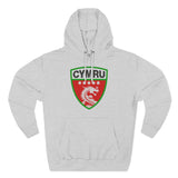 TⓗeCymruDesign 'Original' Three-Panel Fleece Hoodie